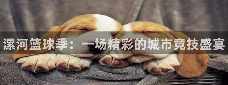 漯河篮球季：一场精彩的城市竞技盛宴