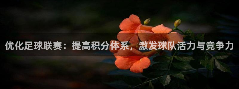 易游交易平台官网：优化足球联赛：提高积分体系，激发球队活力与
