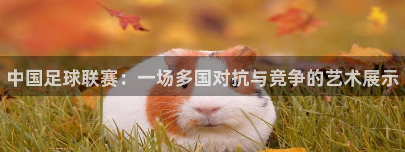  易游体育客服：中国足球联赛：一场多国对抗与竞争的艺术展示