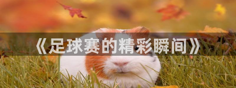  易游体育官网登录入口手机版下载：《足球赛的精彩瞬间》