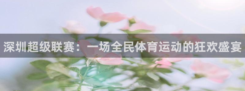  易游体育官网下载安装手机版：深圳超级联赛：一场全民体育运动的
