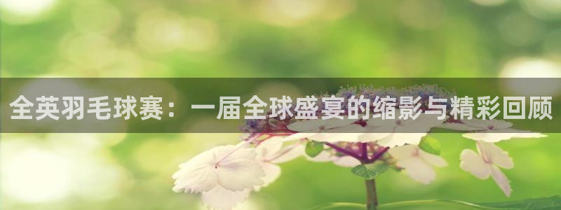 易游论坛：全英羽毛球赛：一届全球盛宴的缩影与精彩回顾