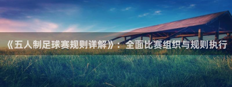  易游平台充值后没有到账：《五人制足球赛规则详解》：全面比赛组