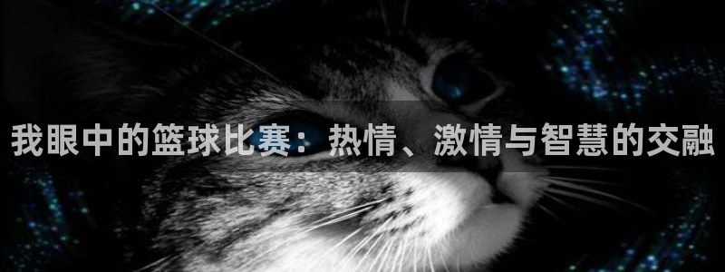 易游安卓模拟器官网下载安装手机版：我眼中的篮球比赛：热情、激