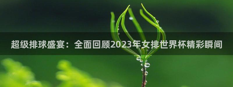 易游体育官方网站app下载最新版本安卓：超级排球盛宴：全面回