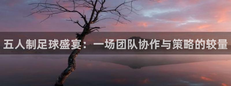  易游app下载安卓：五人制足球盛宴：一场团队协作与策略的较量