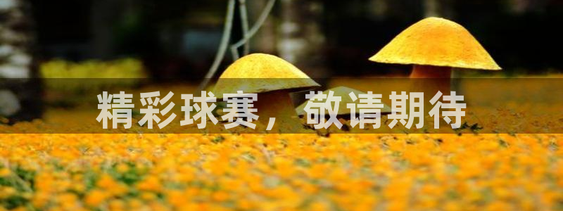  易游网游戏交易平台怎么样：精彩球赛，敬请期待